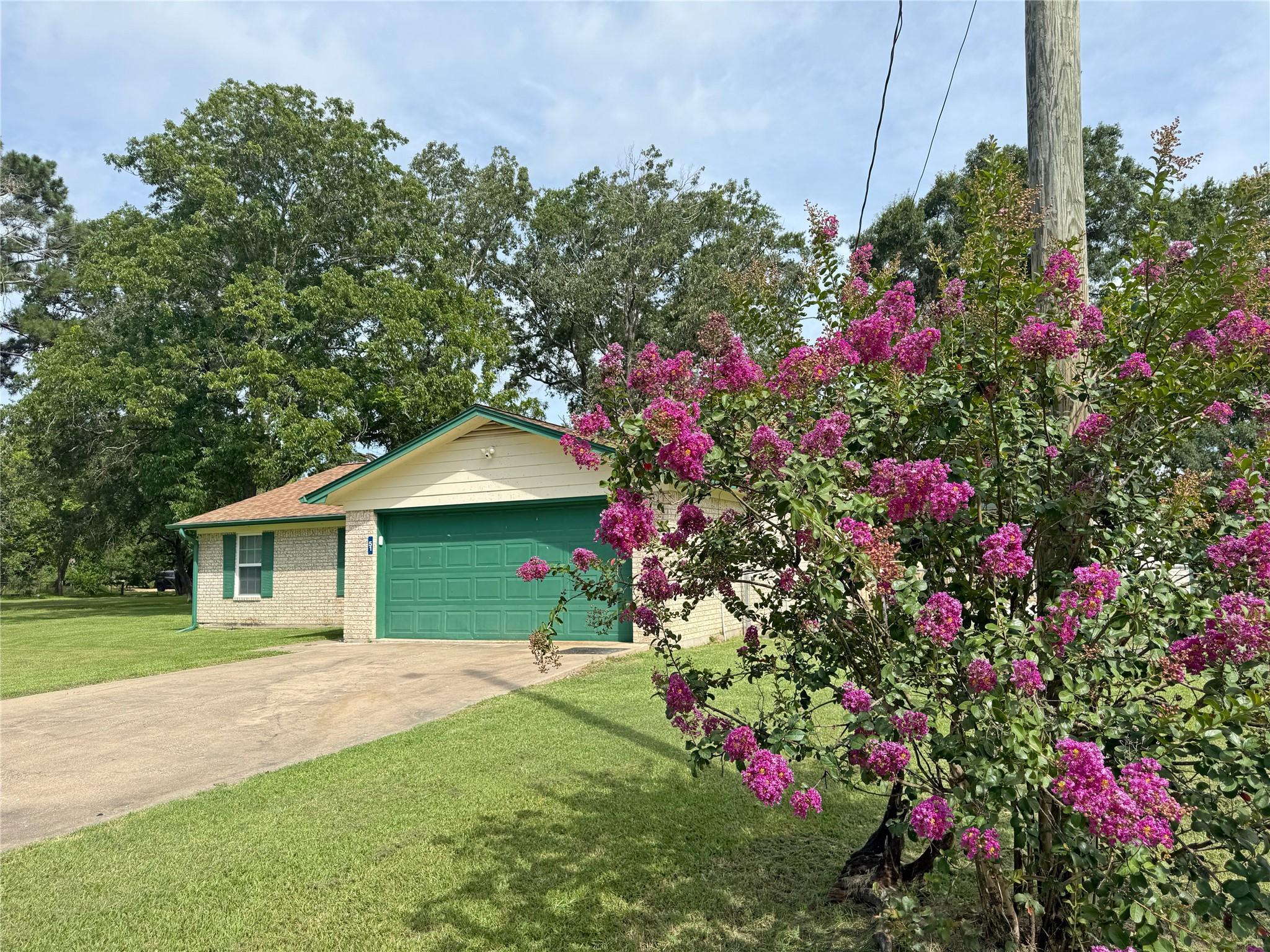 Image 3: Beautiful mature crepe myrtle and a BIG yard!