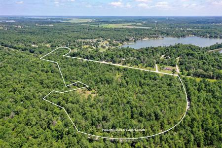 24.69 +/- Acres Lakeland Road