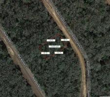 Lot 4 Austin Colony