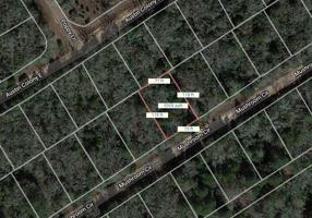 Lot 17 Mushroom Circle