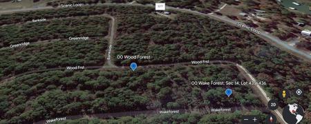 00 Wood Forest