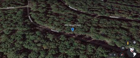 000 Wood Forest
