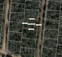 Lot 41 Fern Lane