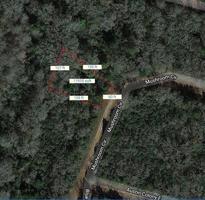 Lot 10 Mushroom Circle