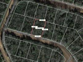 Lot 51 Austin Colony