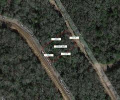 Lot 22 Mushroom Circle