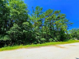 TBD Lot 115 Brackenridge
