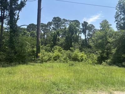 TBD Sam Houston Loop