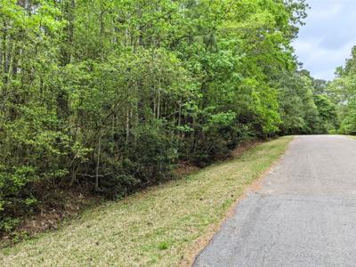 191 Green Tree Drive