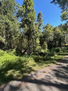 000 Pinemont Way