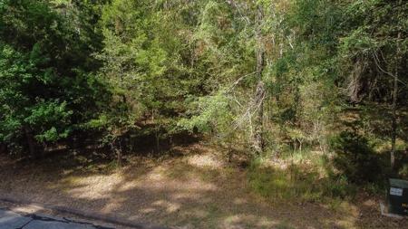 22417 Bermuda Dune Drive