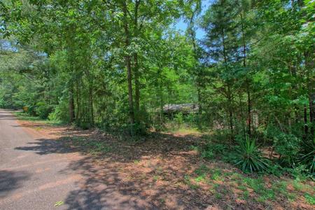 300 Forest Drive