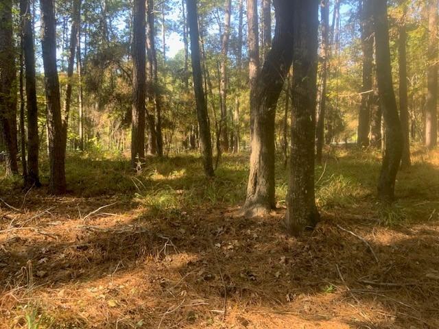 Image 2: Property is wooded with a variety of soft and hard