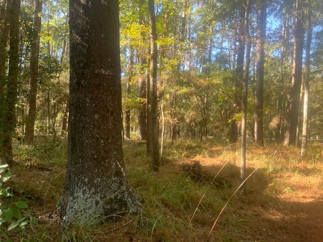 Image 3: Another view of the lot ready to build