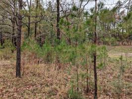TBD Houston Lot 242