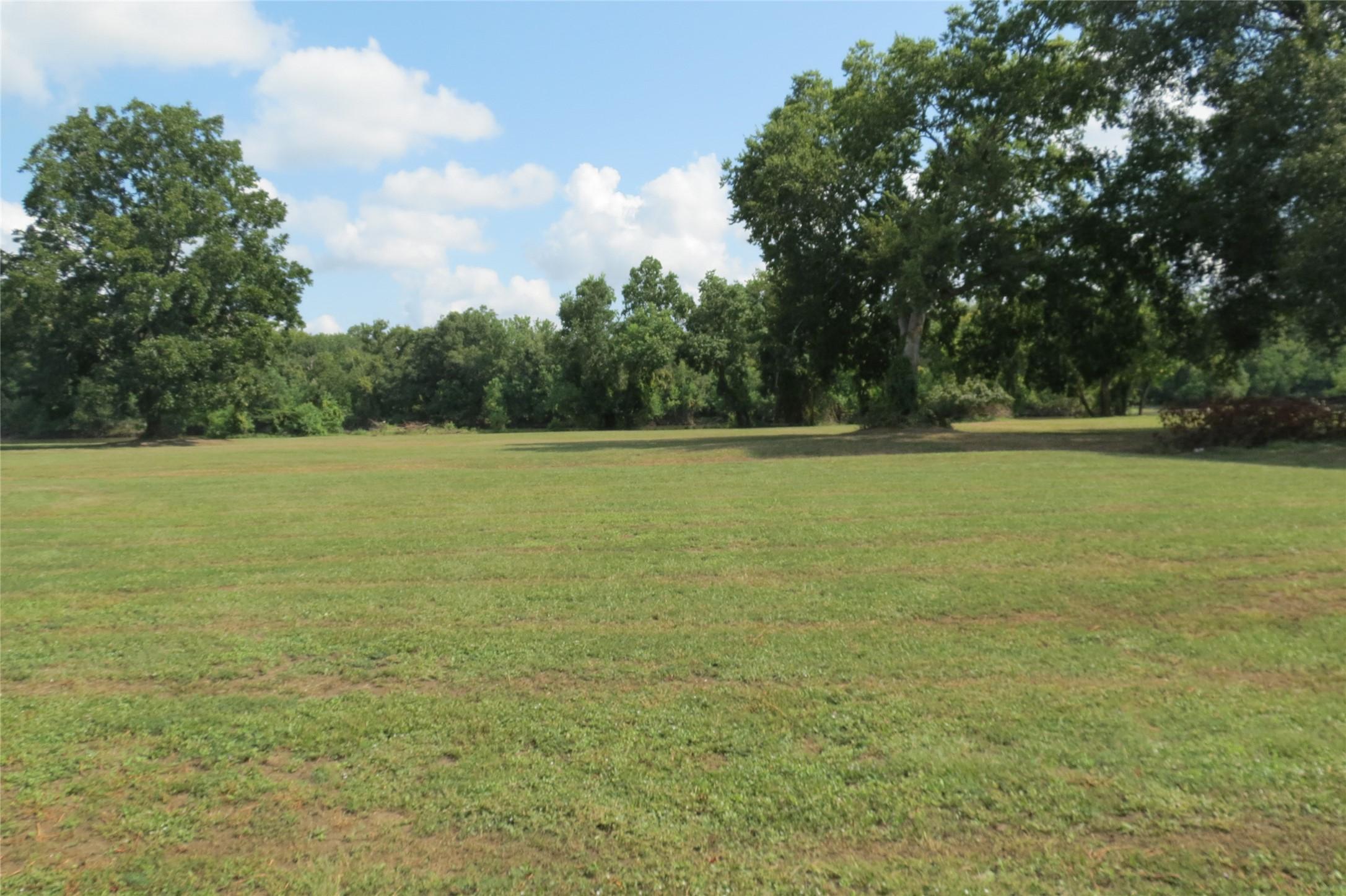 Image 3: Plenty of space to play and picnic