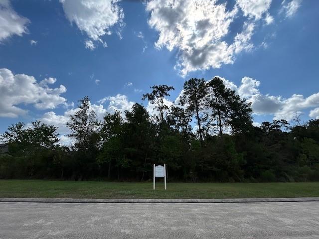 Image 3: View of the lot from the street