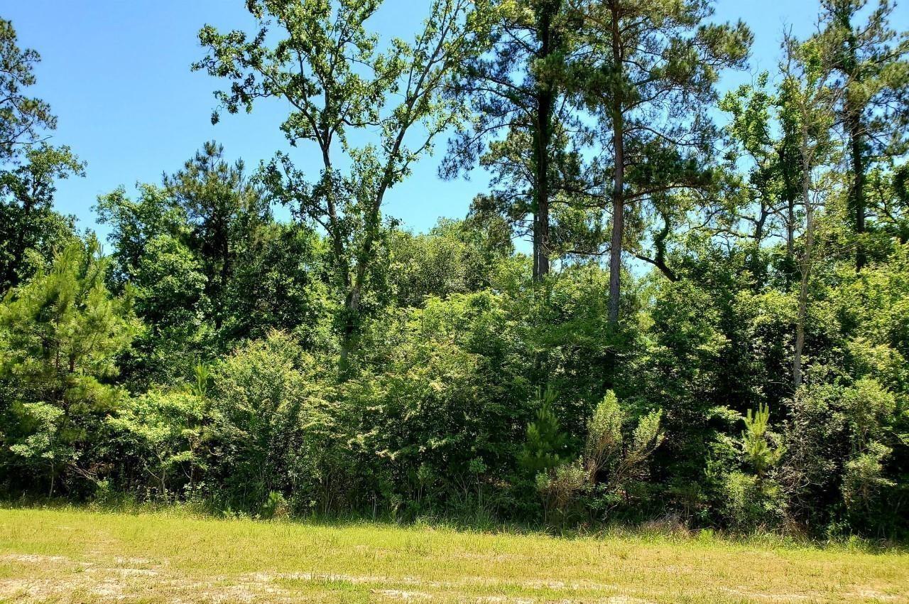 Image 4: View of the lot