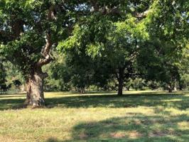 31227 Riverlake Road Lot 4