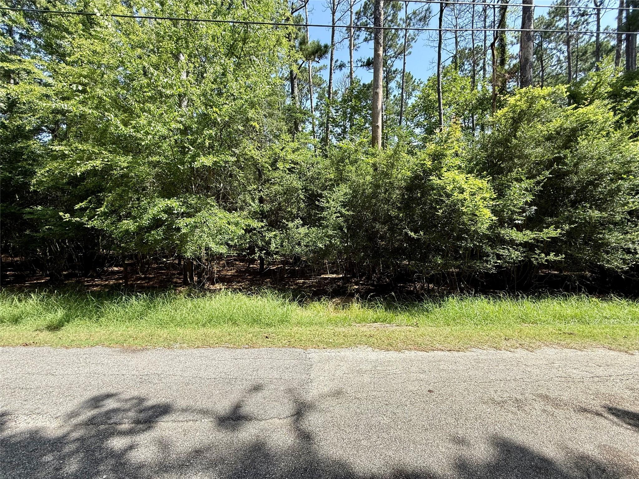 Image 1: View of the land from about the middle of the 2 lo