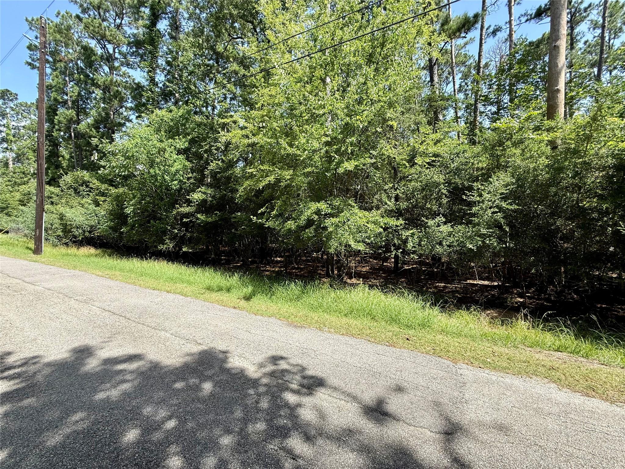 Image 3: Looking to the left, the lot goes to about 10 feet