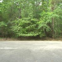 157 N Royale Greens Drive