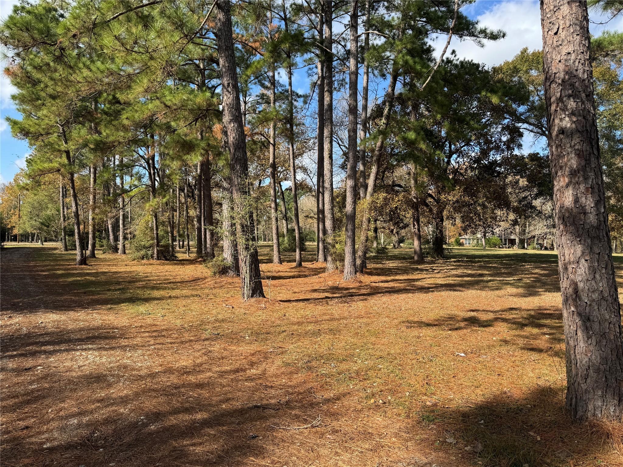 Image 4: This is one of those homes you actually have to vi