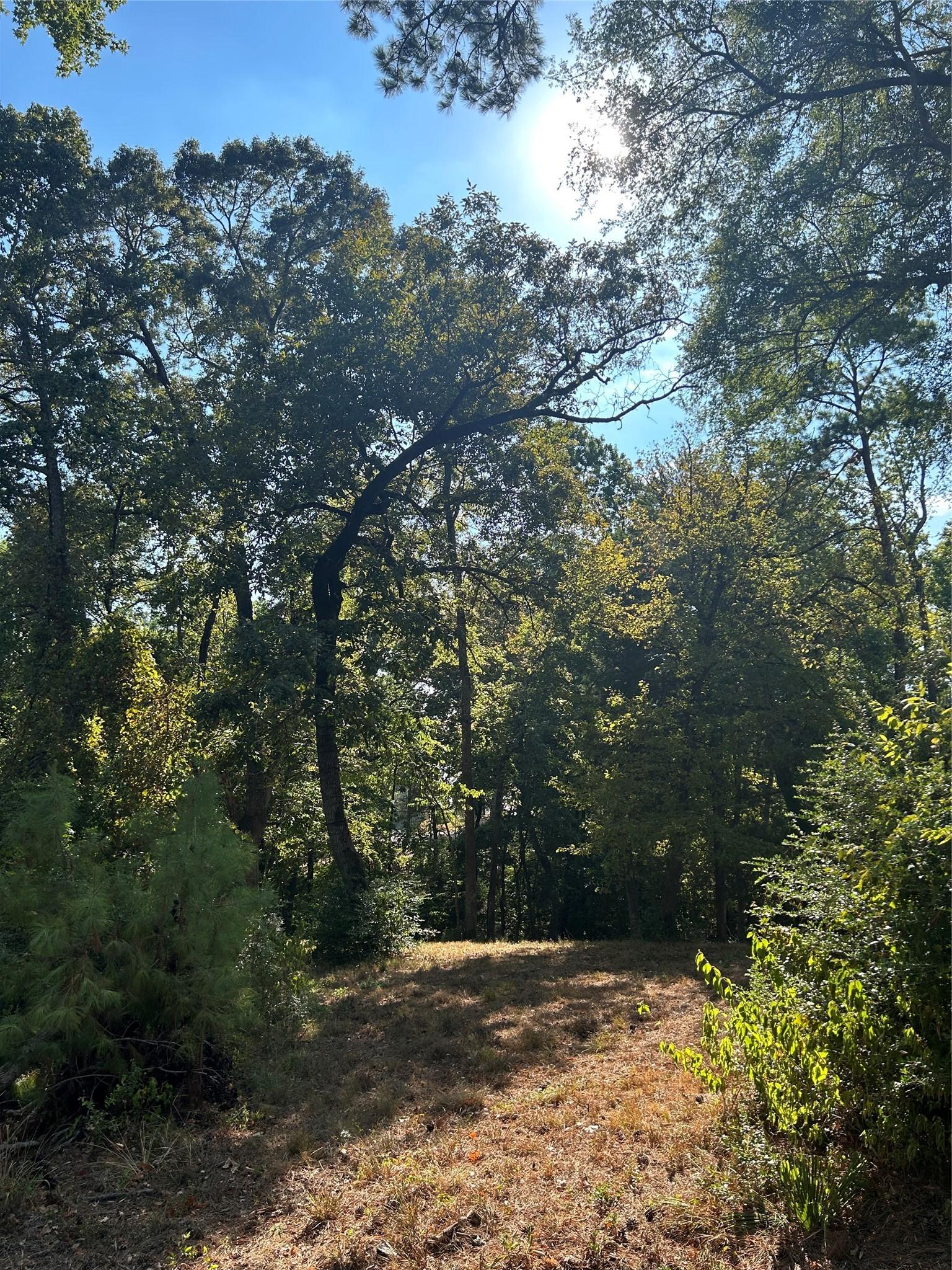 Image 1: Two acre tract with seasonal water views