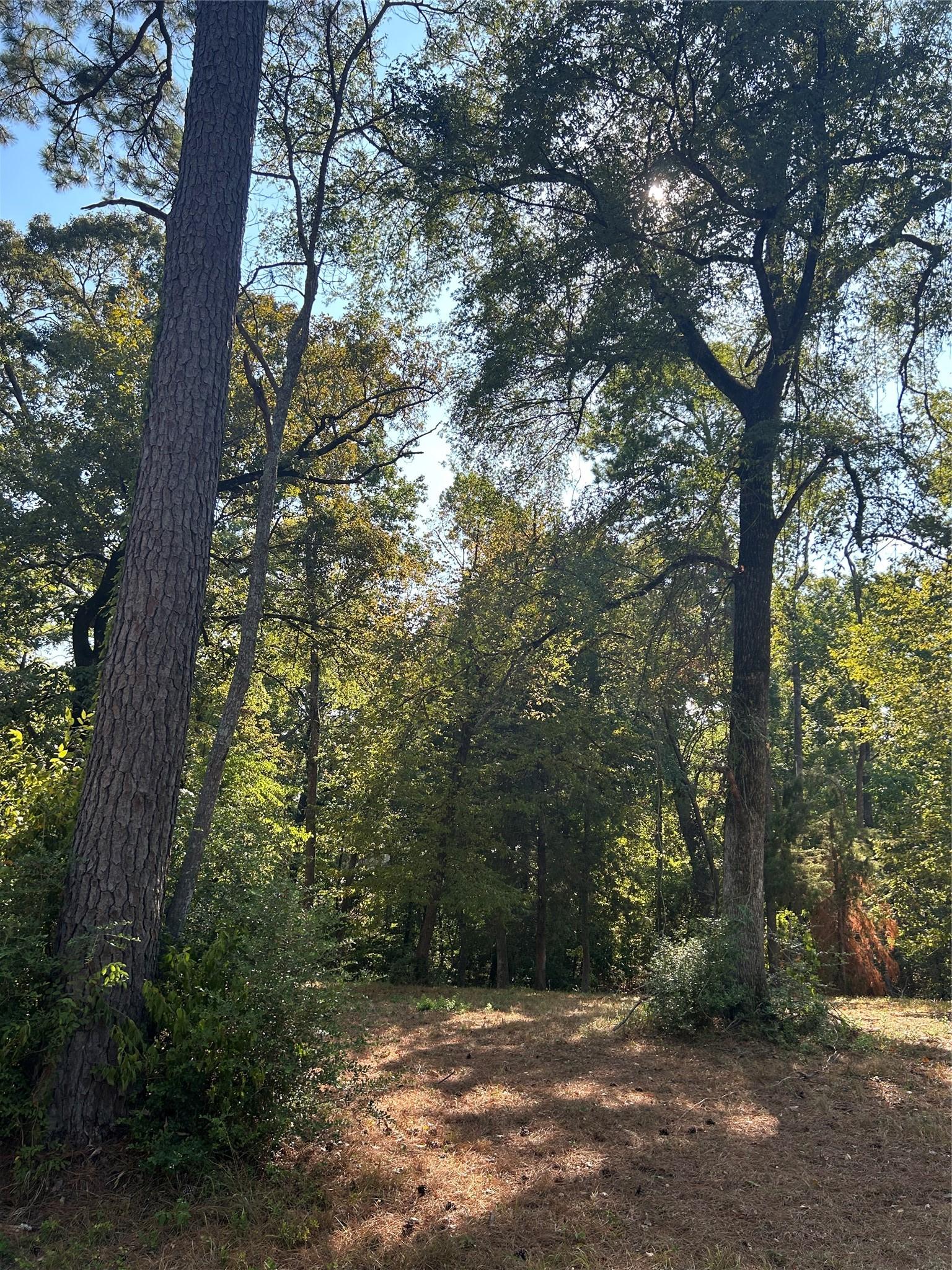 Image 2: Spans street to street with a natural ravine runni