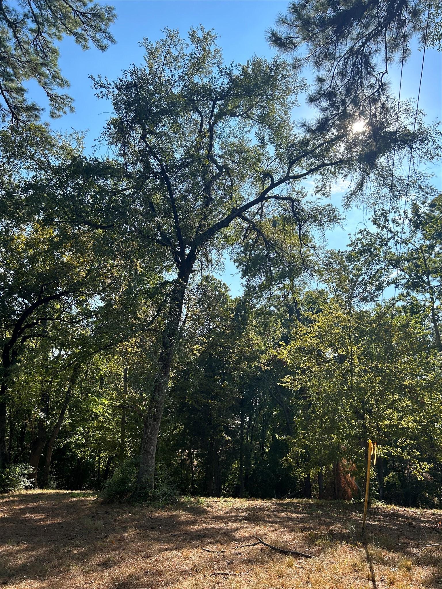 Image 3: Lots may not be subdivided