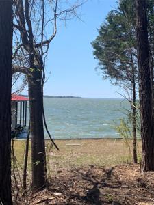 TBD Cedar Lane