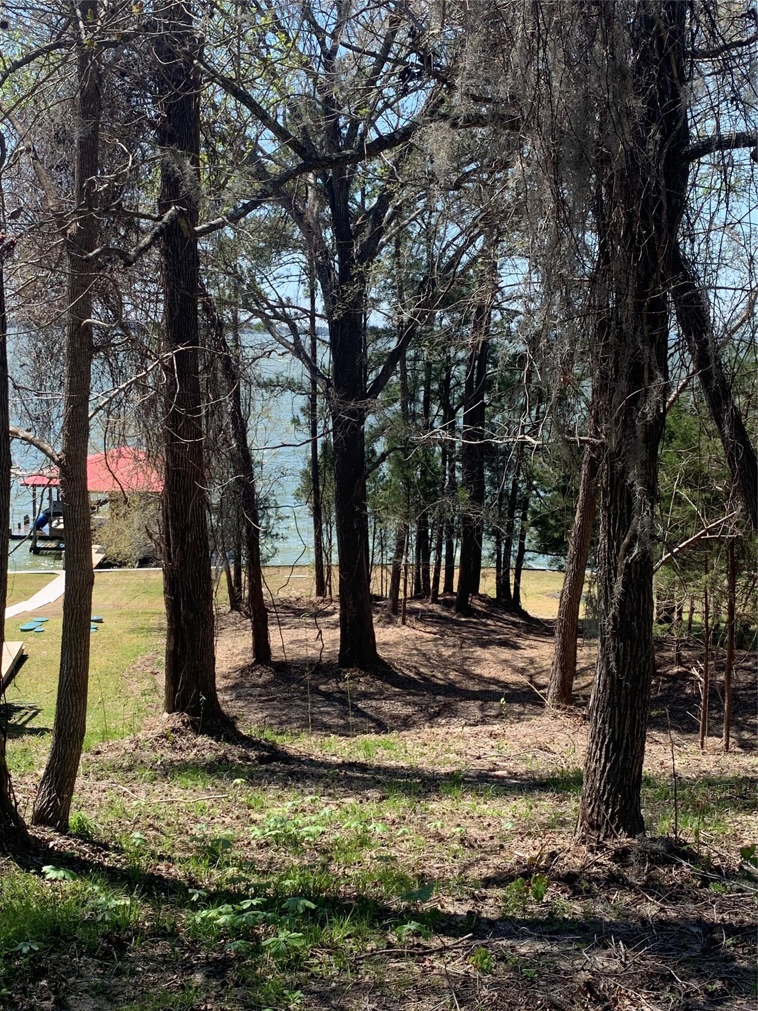 Image 4: MATURE TREES REMAIN SO YOU CAN CHOOSE HOW TO CLEAR