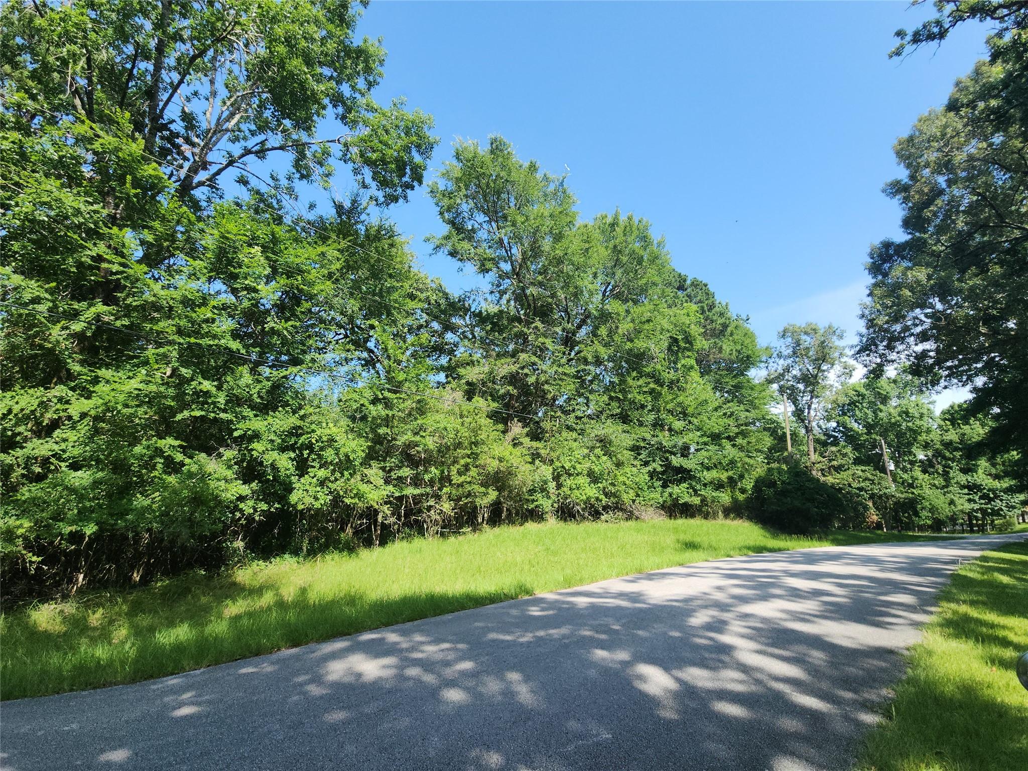 Image 4: Lot on the left, going toward the cul-de-sac.