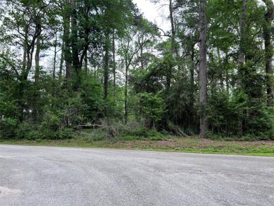 00 Tiki Trail