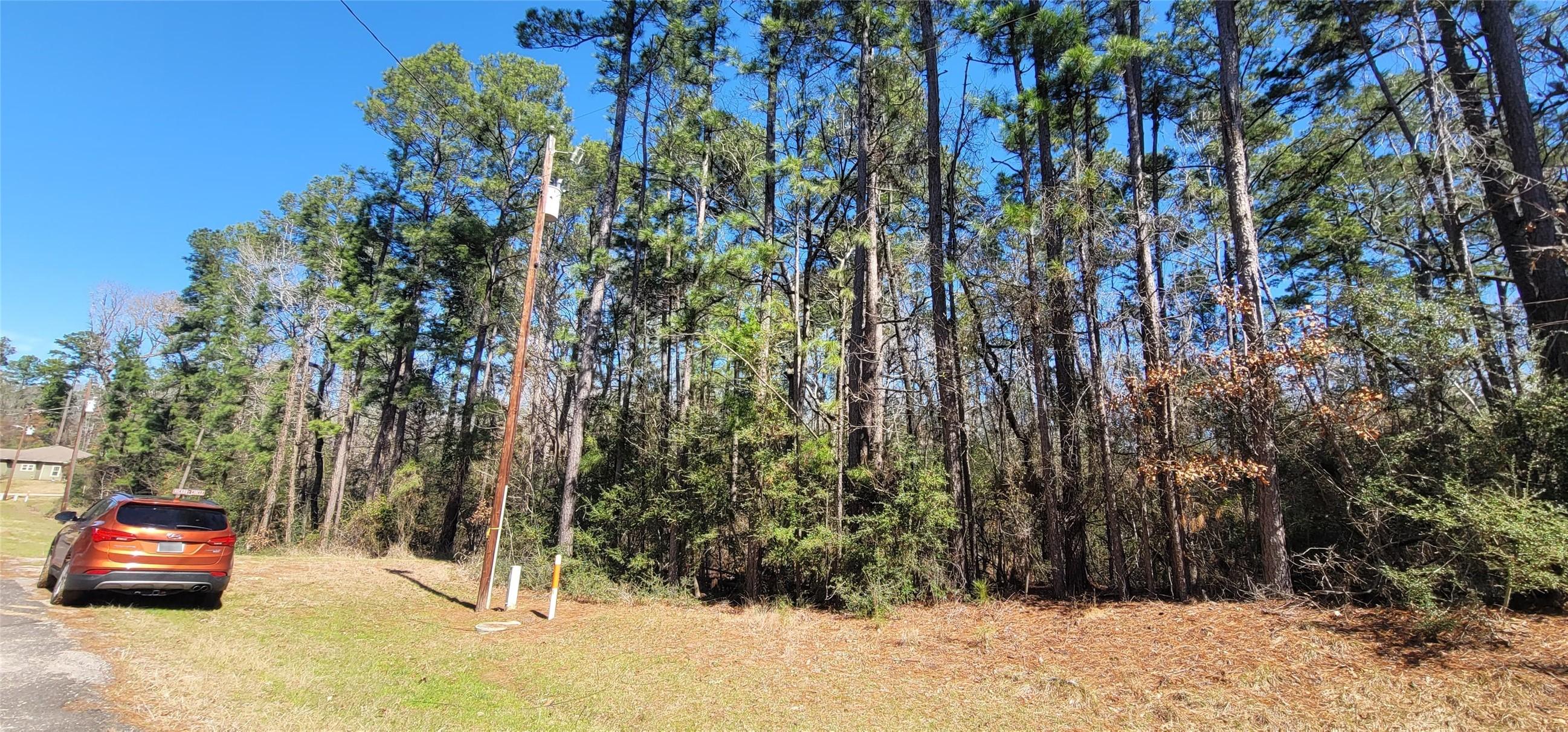 Image 4: Street View of the Property with Electricity Avail