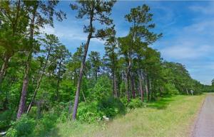 Lot 39 County Road 4921