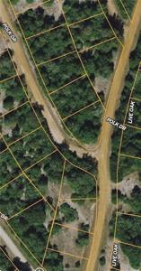 TBD Polk Dr and Live Oak Lot 10 Drive