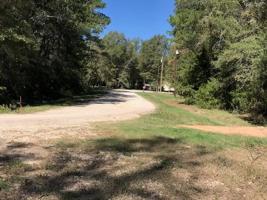 TBD Brackenridge Bend