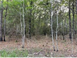 0 Wood Forest Street