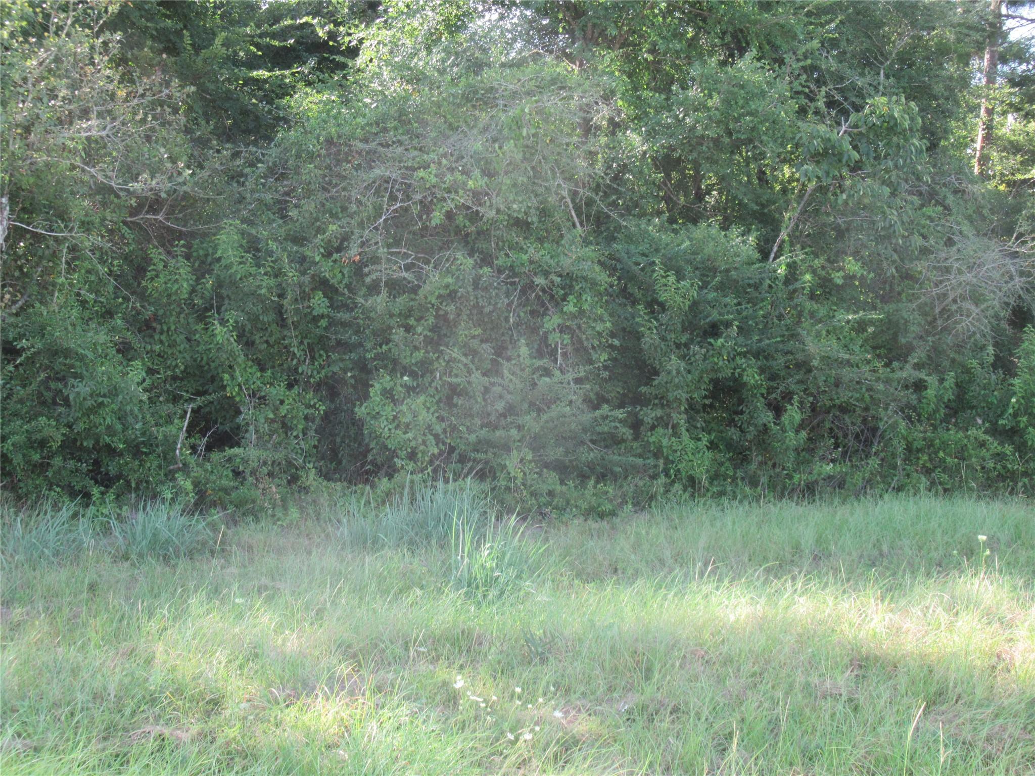 Image 4: Front of property.