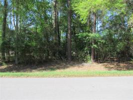 449 Magnolia Point Drive