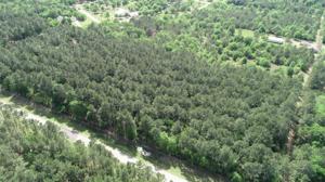 Lot 3 Woodforest Drive