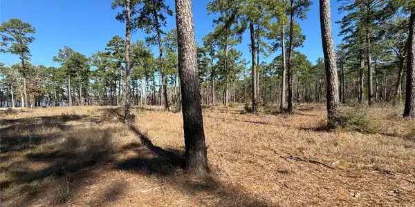 TBD28 Private Road 6028