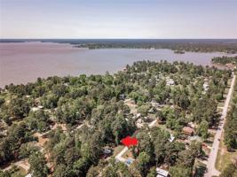 299 Pine Trail