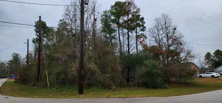 18419 Bluff View Drive