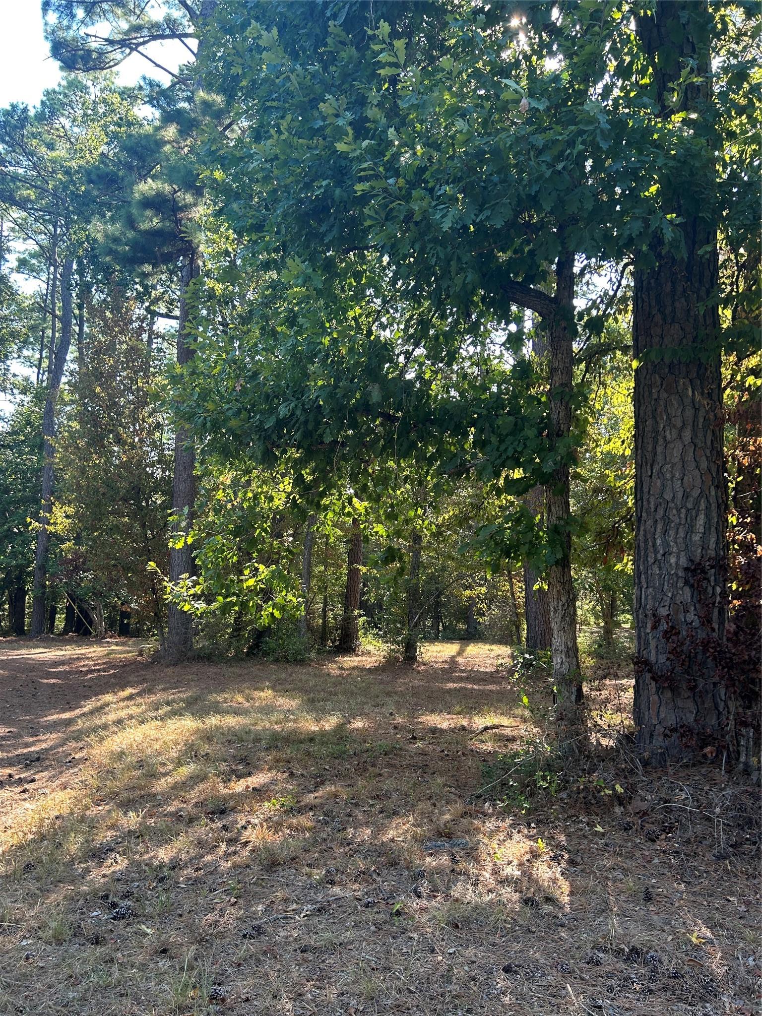 Image 1: 2+ acre tract