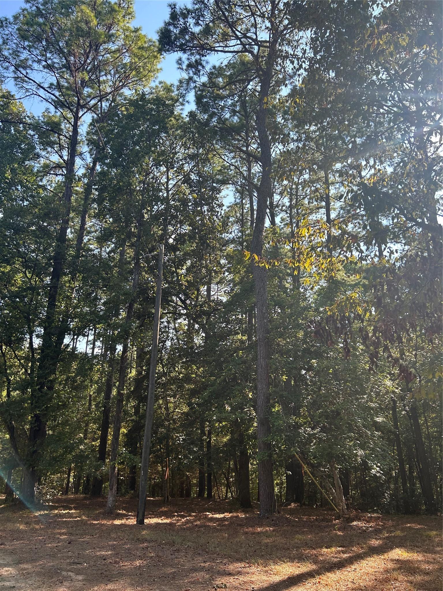 Image 2: You will own the entire right hand side of the str