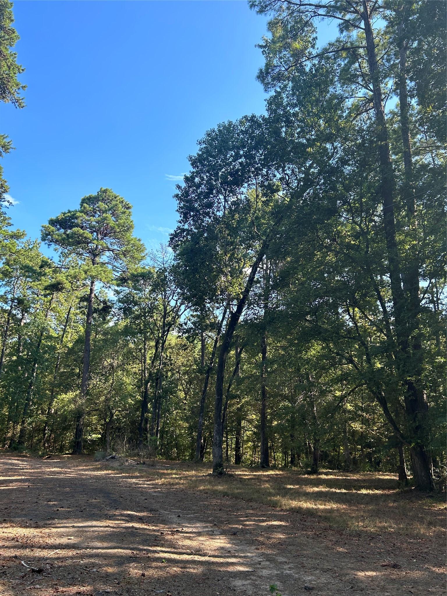 Image 3: Lots may not be subdivided