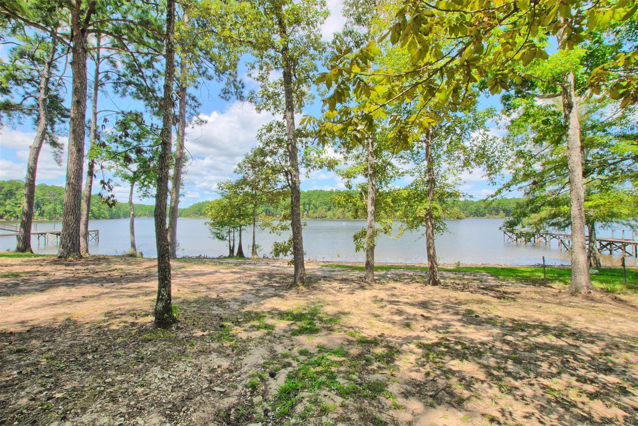 Image 2: Back Yard to Water