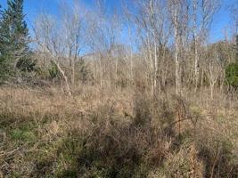 TBD 105 Briarhill Lane